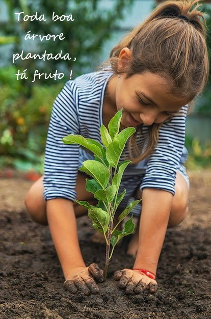 Sementes de Esperança II !