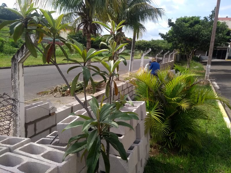 MURO APÓS A LIXEIRA