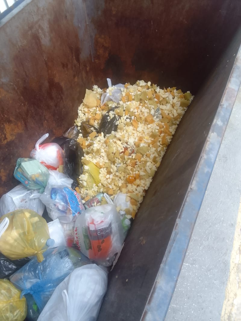 DEDETIZAÇÕES GERAIS