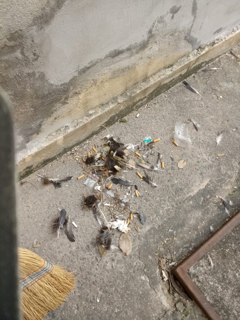 TORRE H - I...CANO QUEBRADO