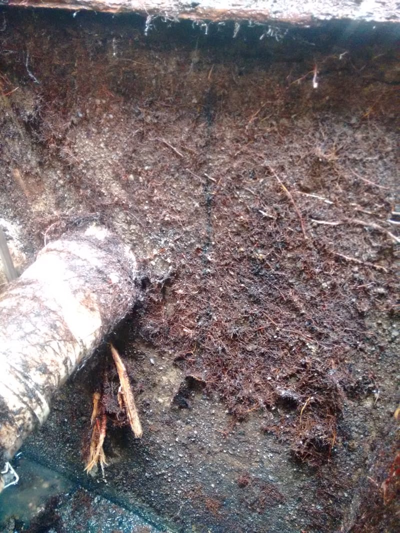 II. - CX GORDURA / ESGOTO