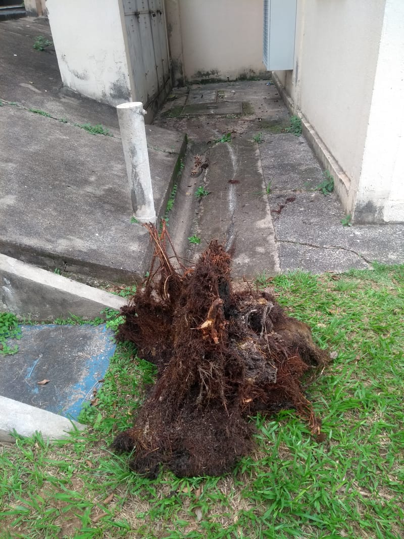 II. - CX GORDURA / ESGOTO