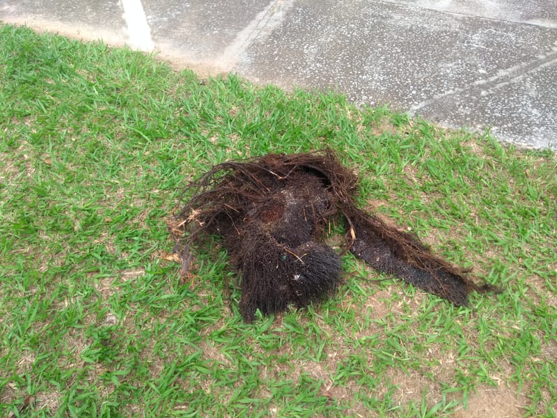 II. - CX GORDURA / ESGOTO