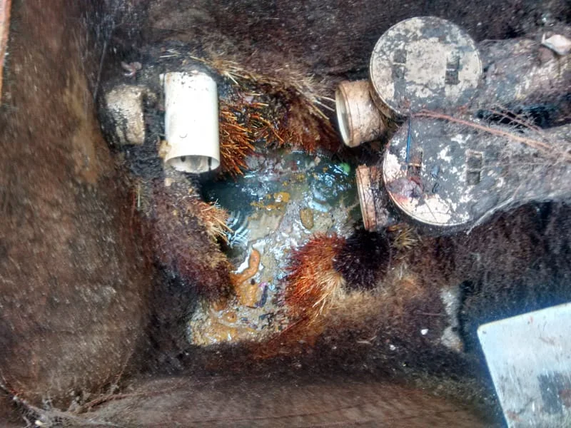 CXS - GORDURA E ESGOTO