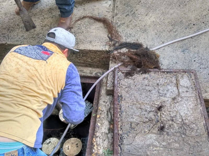 CXS - GORDURA E ESGOTO