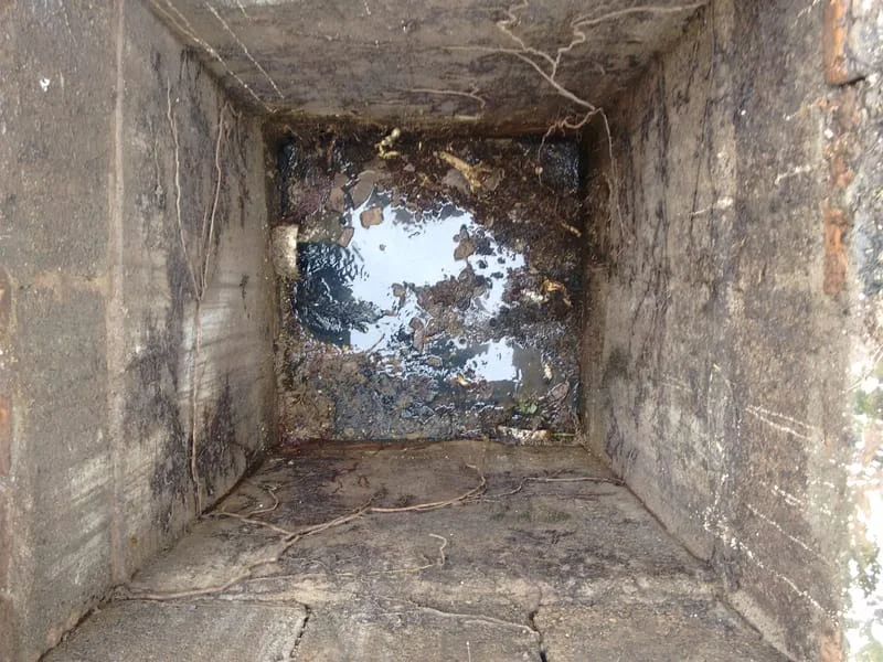 CXS - GORDURA E ESGOTO