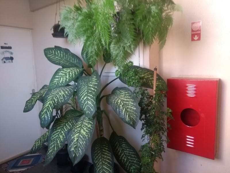 EXTINTORES OBSTRUÍDOS