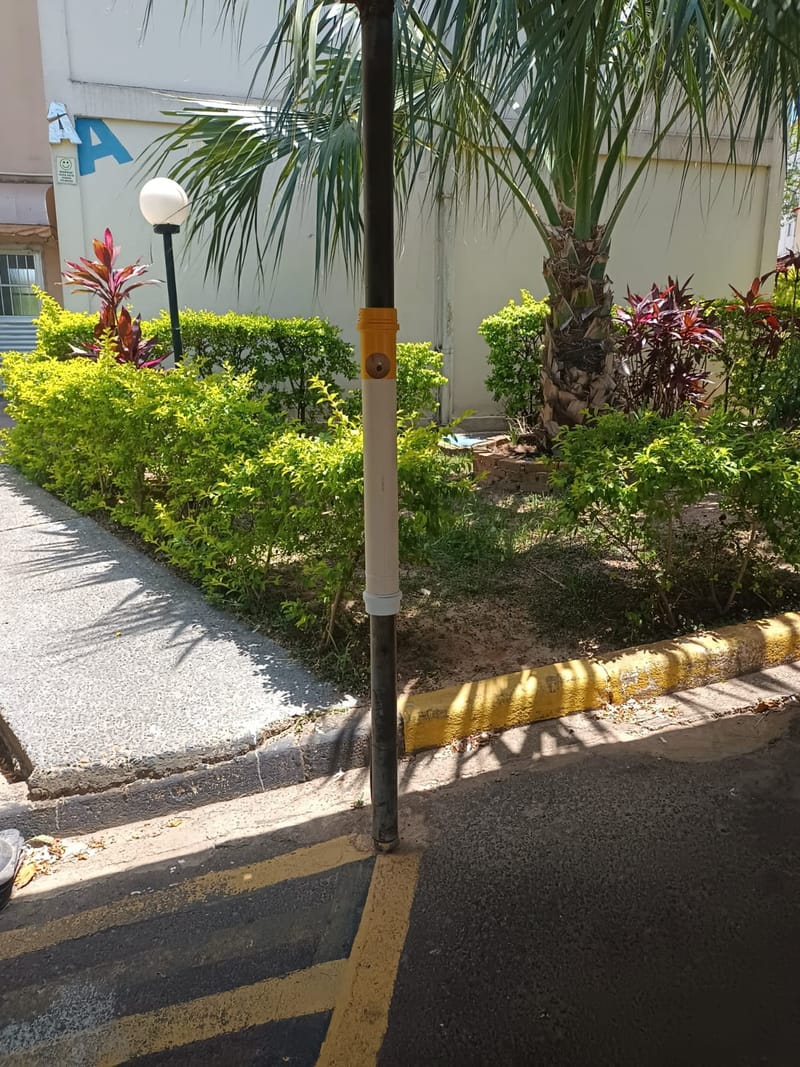 PLACAS E PITUQUEIRAS