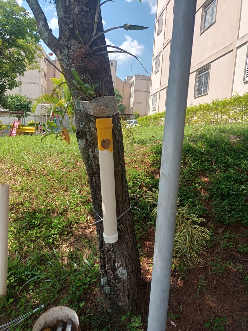 PLACAS E PITUQUEIRAS