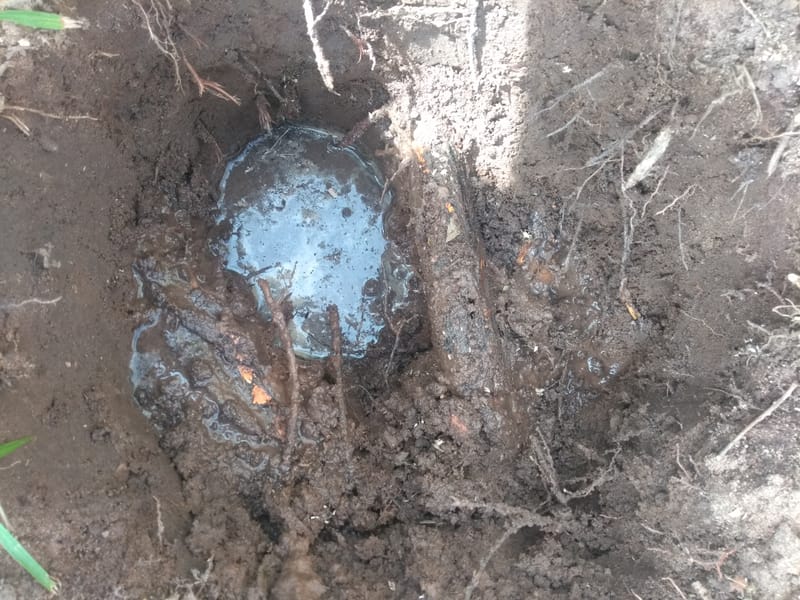 LIMPEZA CXS - II. ETAPA