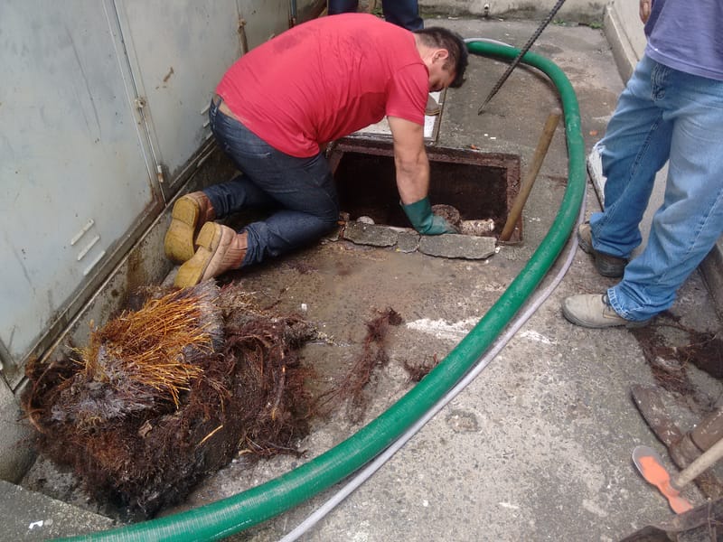 LIMPEZA CXS - II. ETAPA