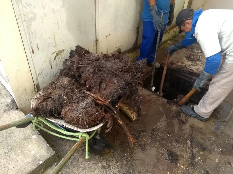 LIMPEZA CXS - II. ETAPA