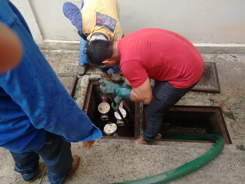 LIMPEZA CXS - II. ETAPA