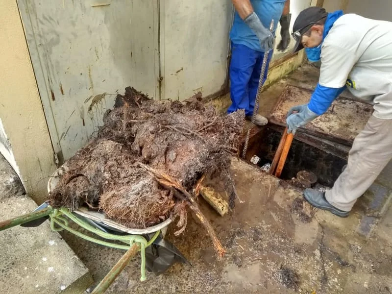 LIMPEZA CXS - II. ETAPA