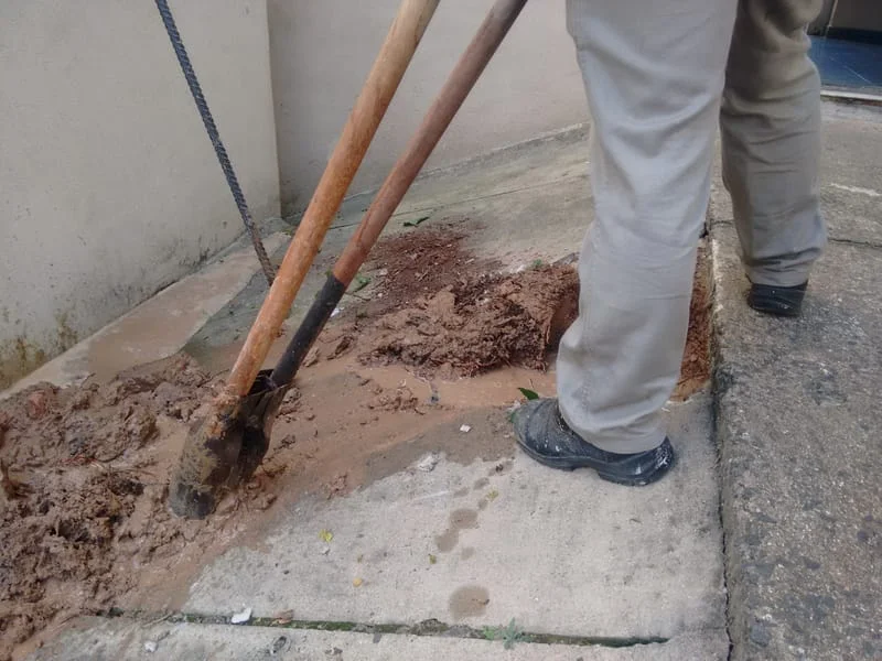 LIMPEZA CXS - II. ETAPA