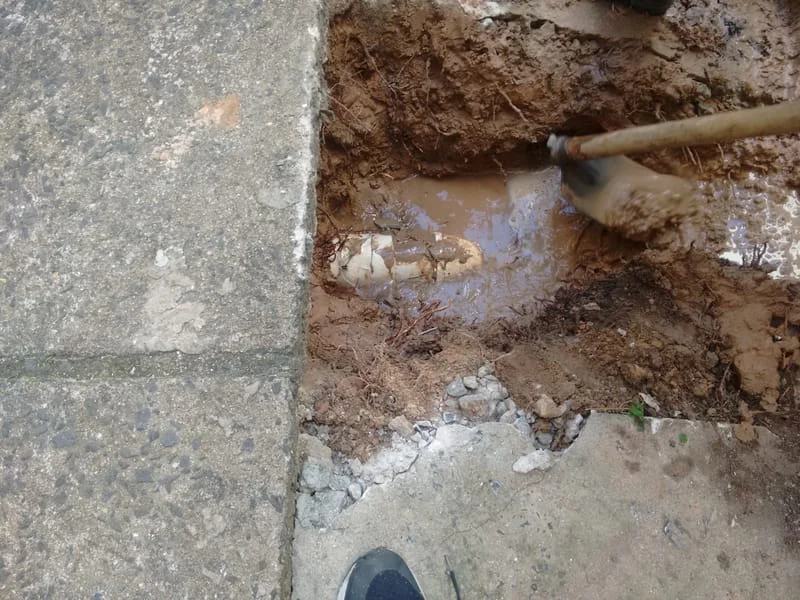 LIMPEZA CXS - II. ETAPA