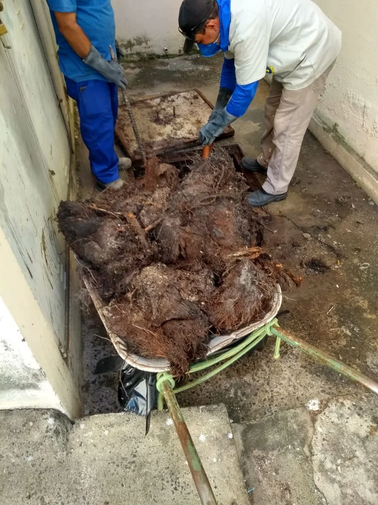 LIMPEZA CXS - II. ETAPA