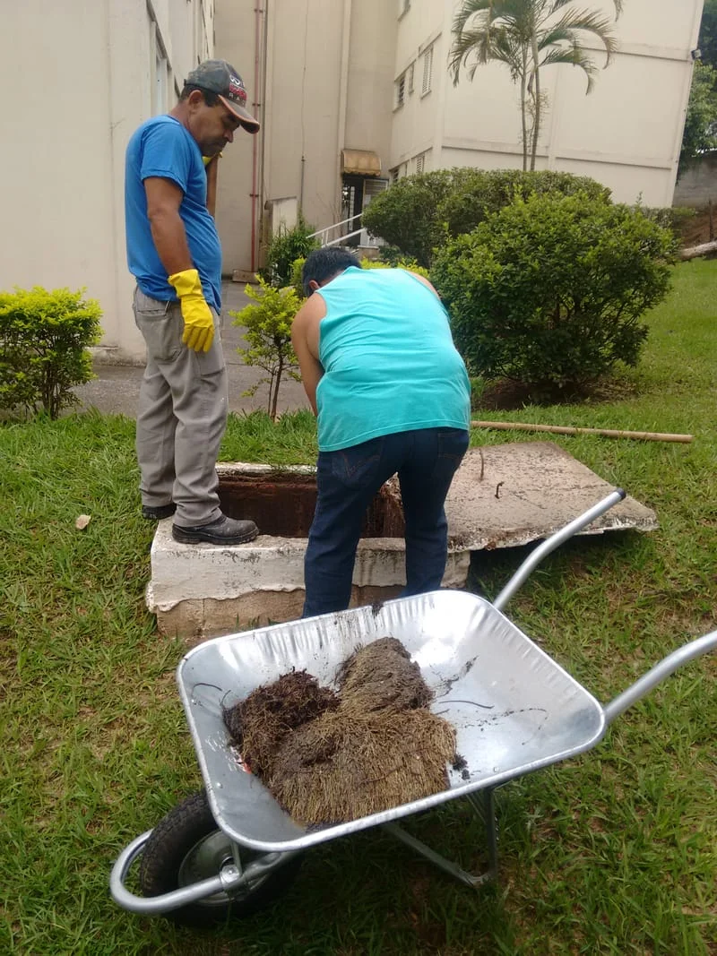 LIMPEZA CXS - II. ETAPA