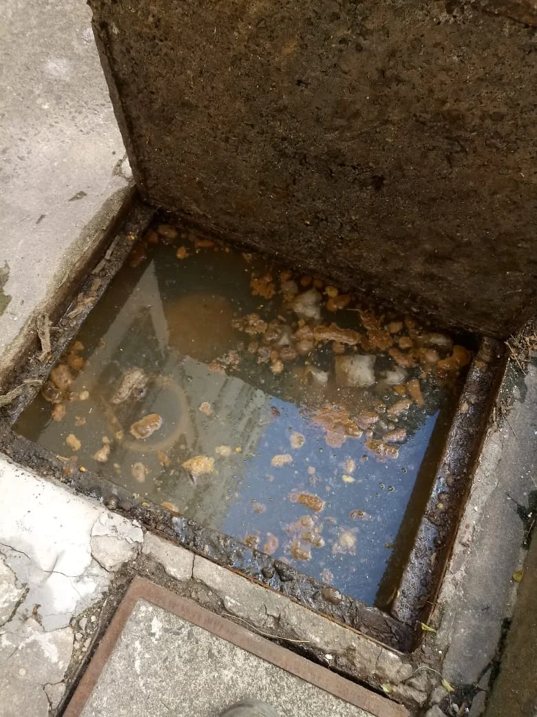 LIMPEZA CXS - II. ETAPA