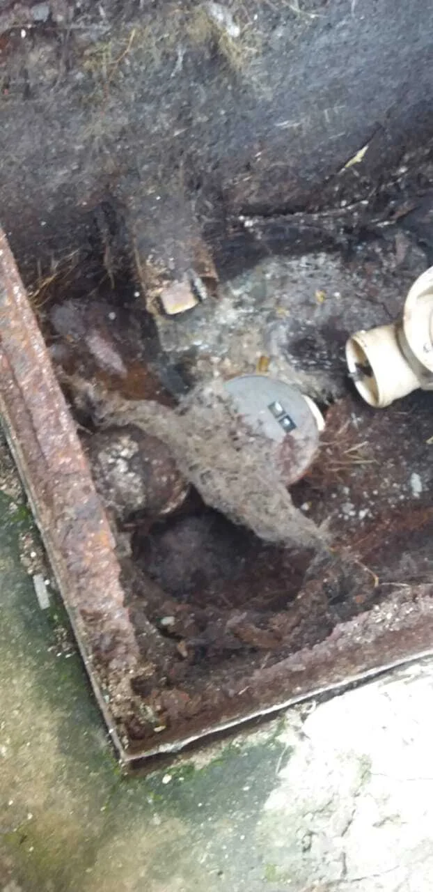 LIMPEZA CXS - II. ETAPA