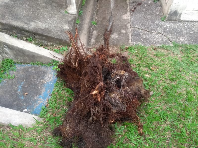 I. - CX GORDURA / ESGOTO