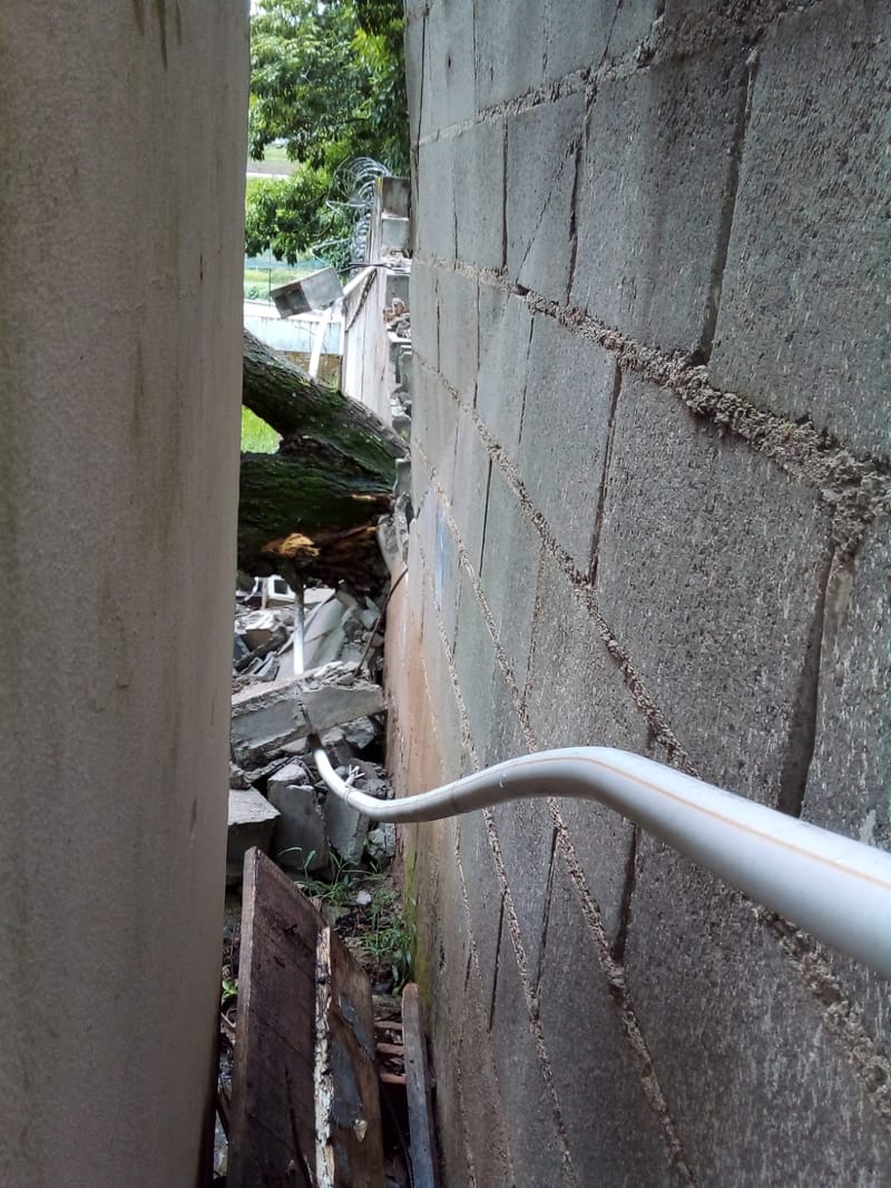 JDIM - ÁRVORES COMGÁS