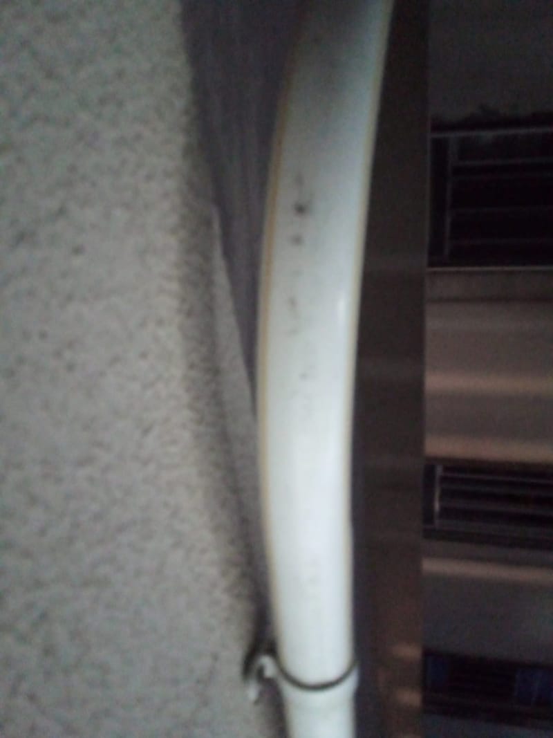 JDIM - ÁRVORES COMGÁS