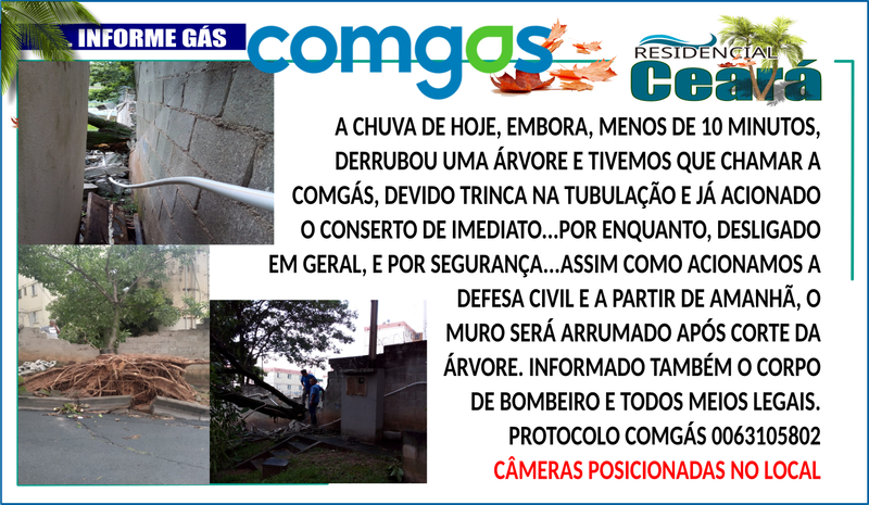 JDIM - ÁRVORES COMGÁS