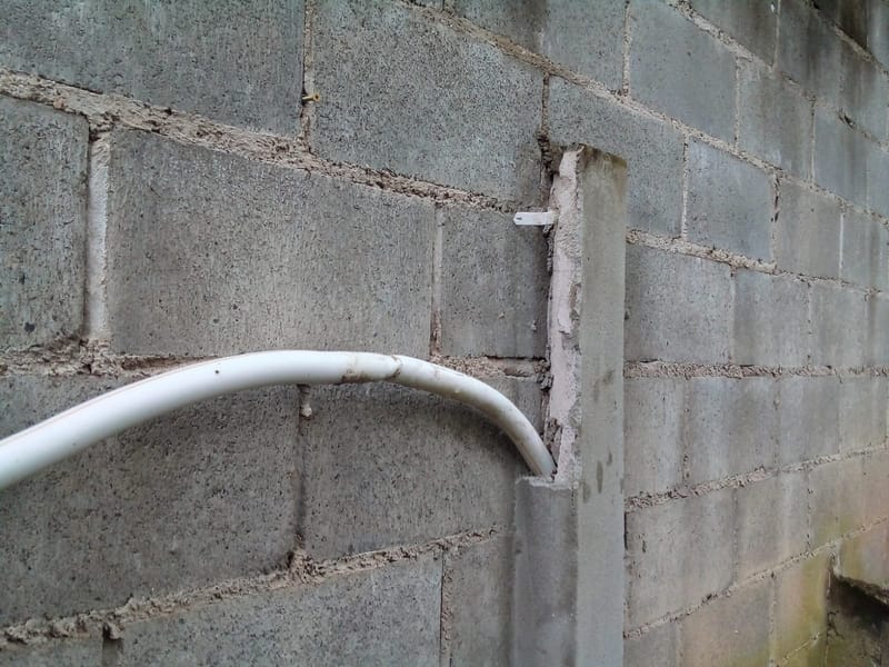 JDIM - ÁRVORES COMGÁS