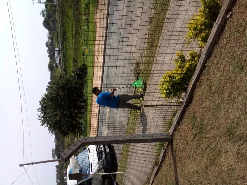 JDIM - ÁRVORES / GRAMA