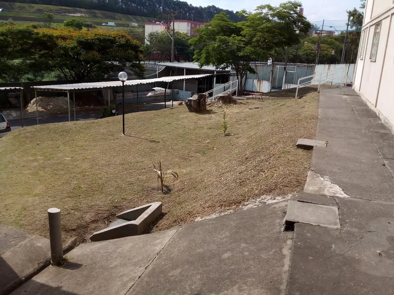 JDIM - ÁRVORES / GRAMA