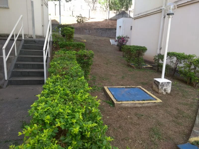 JDIM - ÁRVORES / GRAMA