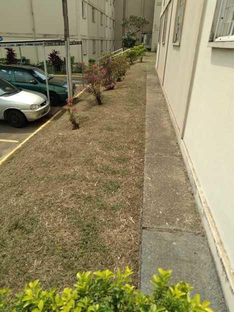 JDIM - ÁRVORES / GRAMA