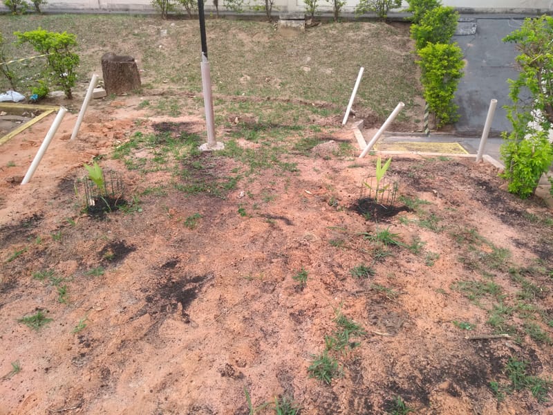 JDIM - TORRES E, F, G