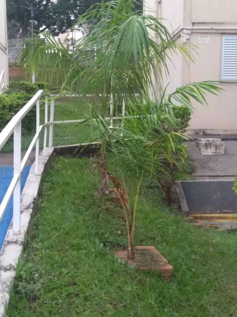 JDIM - TORRES E, F, G