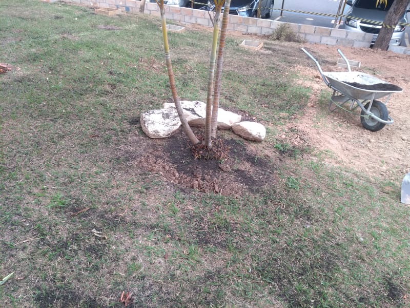 JDIM - TORRES E, F, G