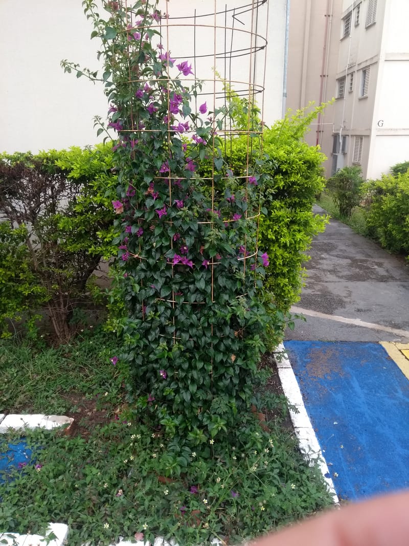 JDIM - TORRES E, F, G