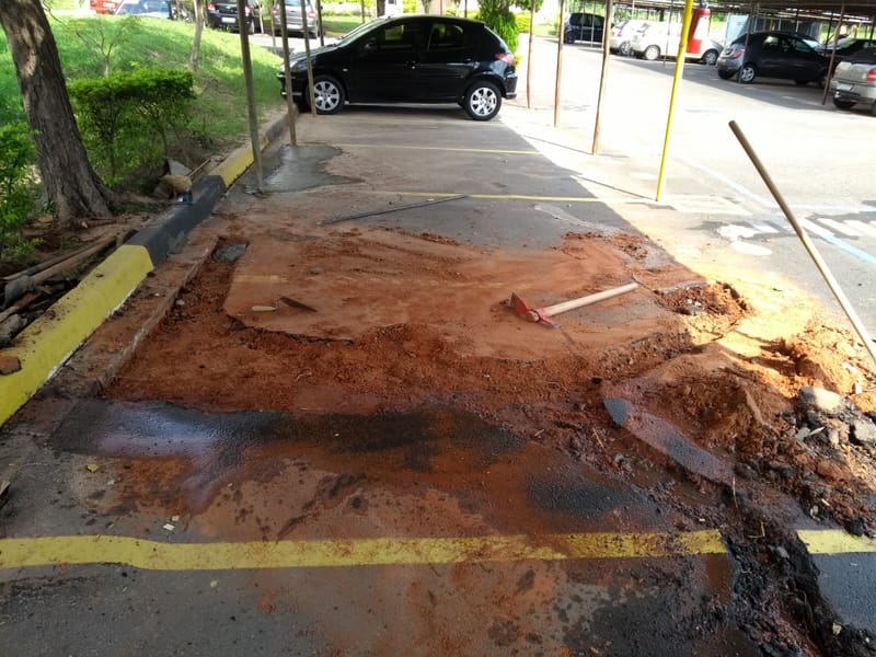 JDRDIM - ÁRVORES, RAÍZES