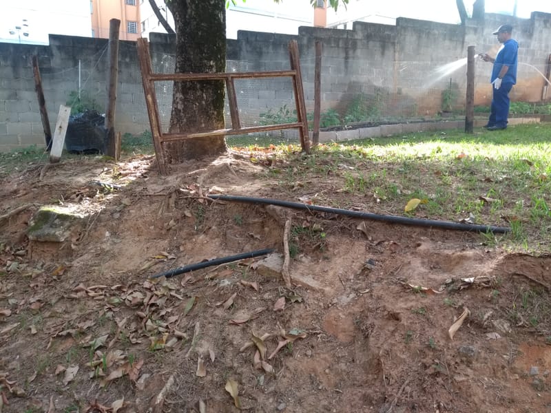 JDRDIM - ÁRVORES, RAÍZES