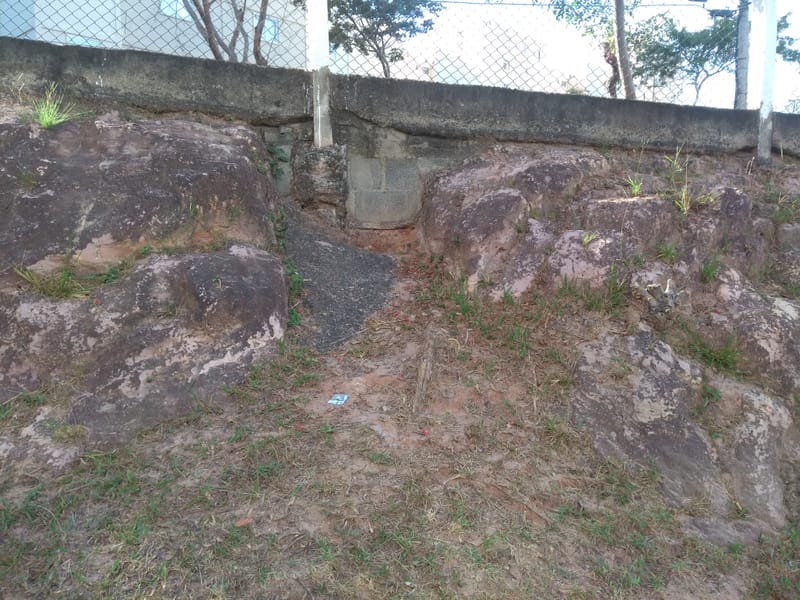 JDRDIM - ÁRVORES, RAÍZES