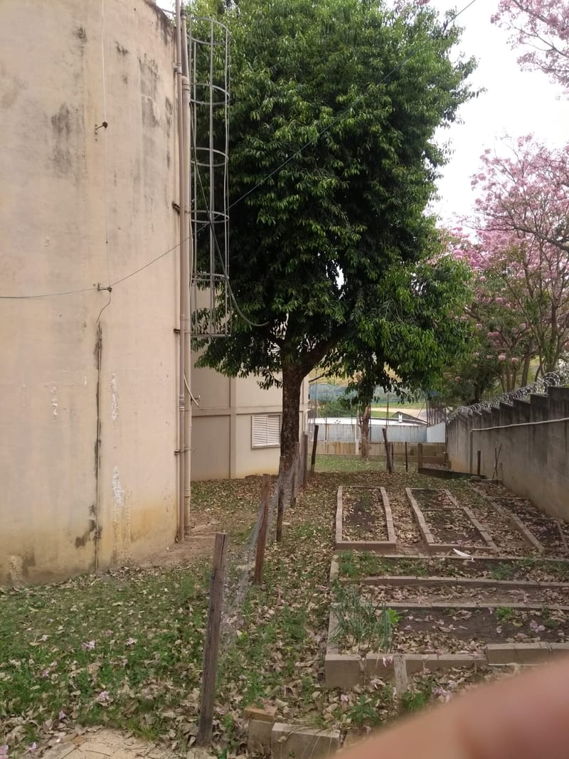 JDRDIM - ÁRVORES, RAÍZES