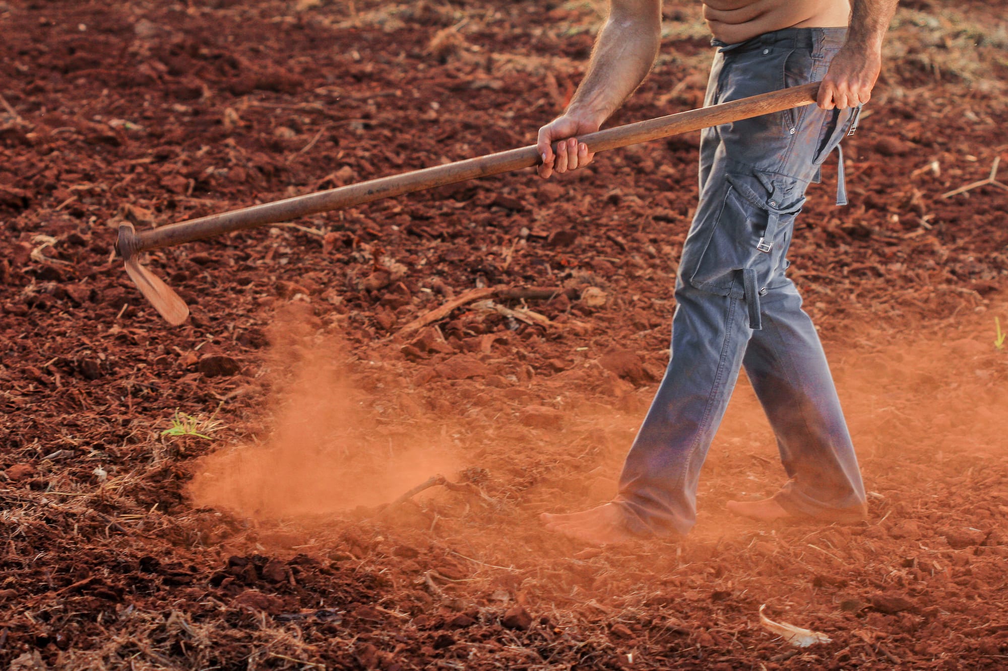 4. L'EVOLUTION AGRICOLE