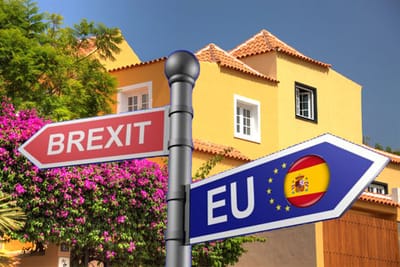 Read Our Other Moving Blogs image