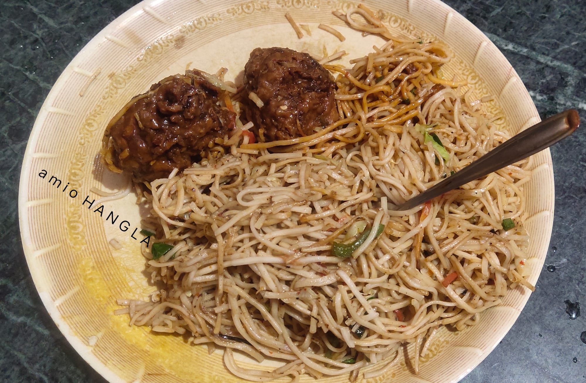 Noodles & Chicken Manchurian