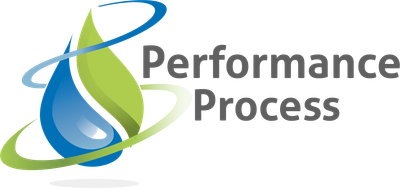 PERFORMANCE PROCESS