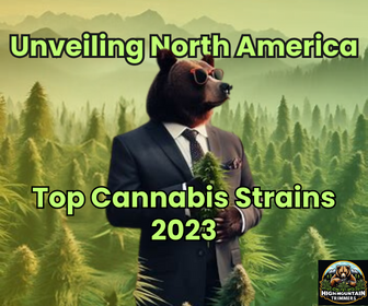 Popular Cannabis Strains in North America 2023: A Comprehensive Analysis