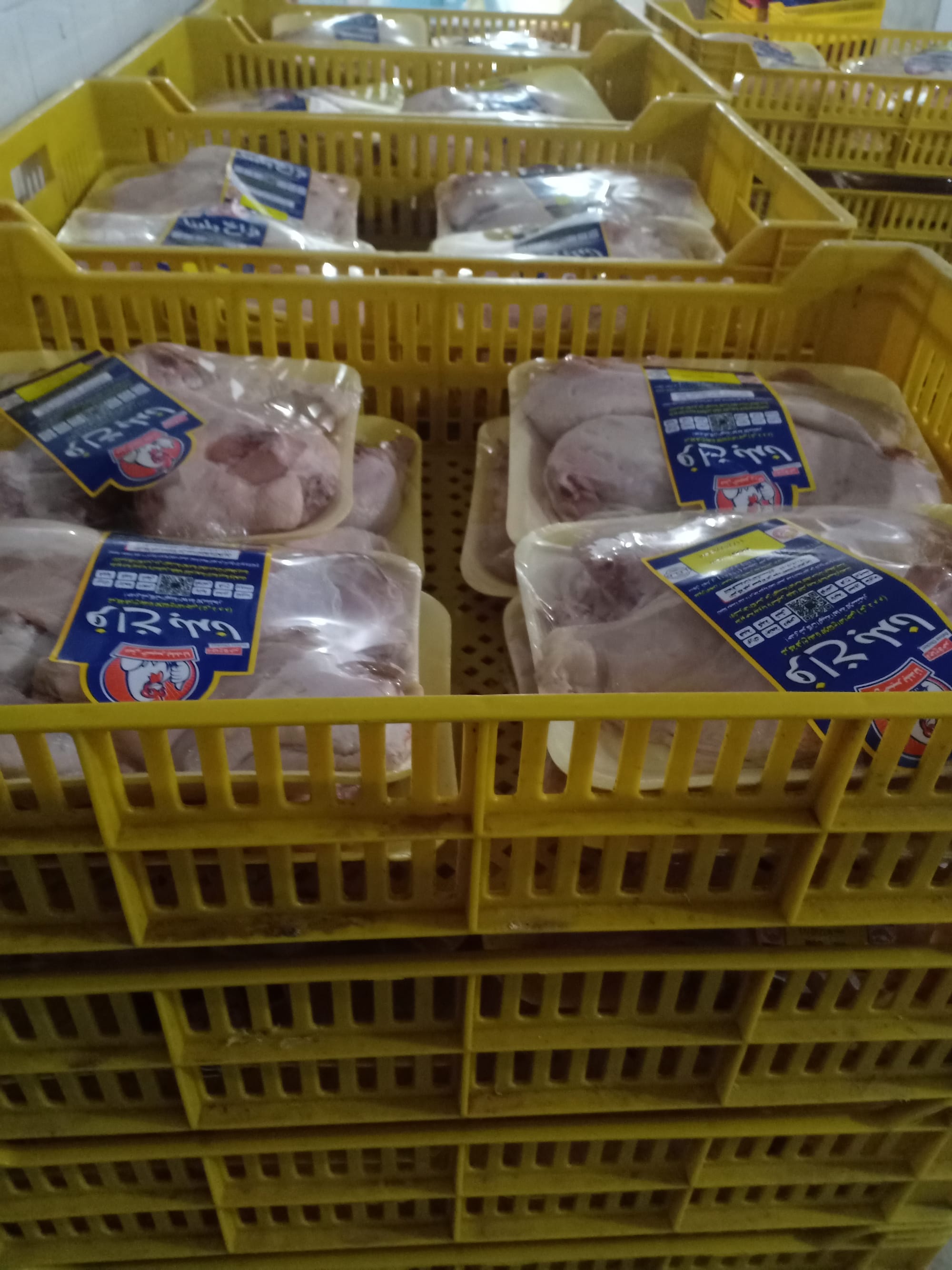 فراخ بلدنا