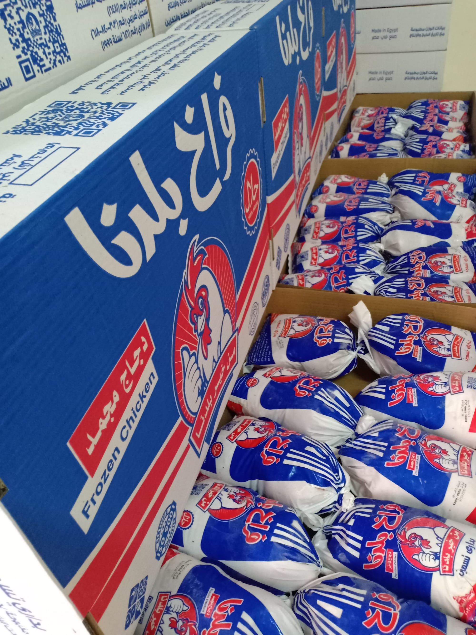 فراخ بلدنا