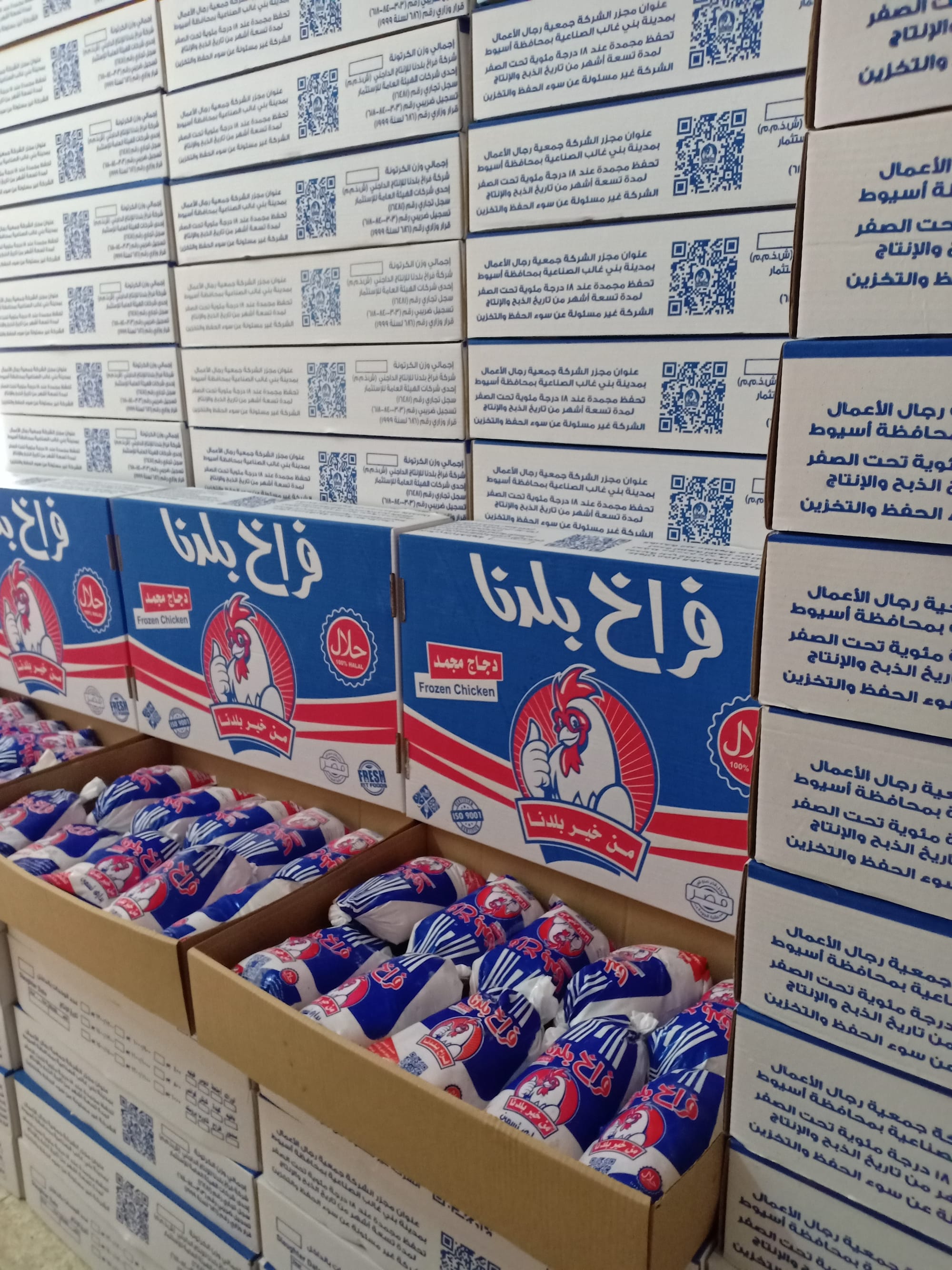 فراخ بلدنا