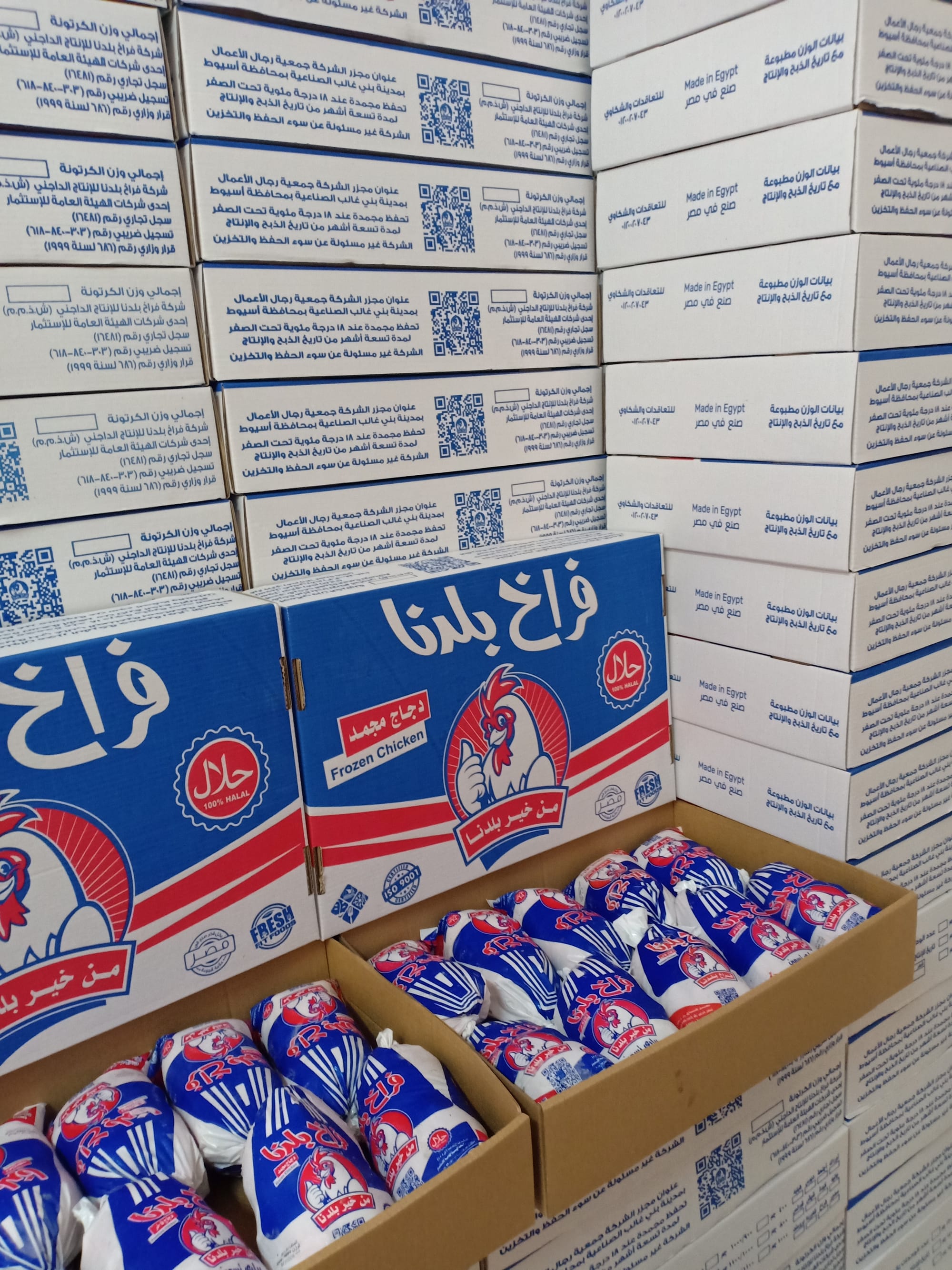 فراخ بلدنا